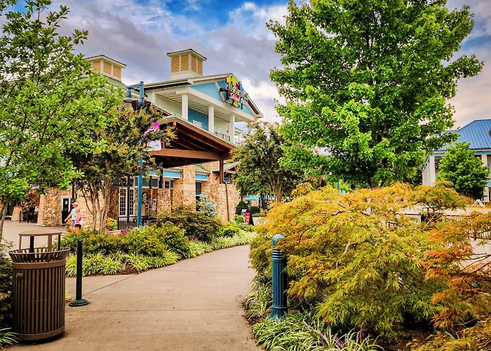 Margaritaville Island Hotel
